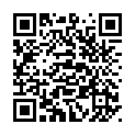 To view this 2012 Lincoln MKZ Melbourne FL from Big Daddys Auto Sales and Services | Used BHPH Cars, please scan this QR code with your smartphone or tablet to view the mobile version of this page.
