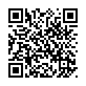 To view this 2015 BMW X1 Melbourne FL from Big Daddys Auto Sales and Services | Used BHPH Cars, please scan this QR code with your smartphone or tablet to view the mobile version of this page.